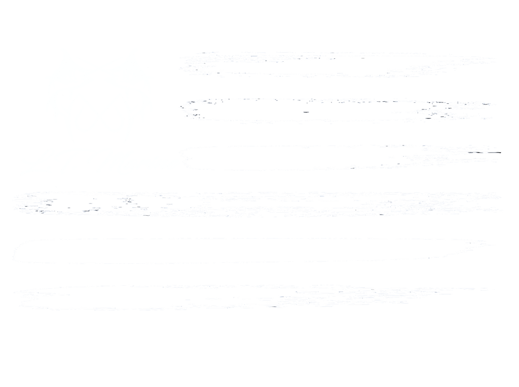 LT MARINE®  Grunge USA Flag Fishing T-shirt